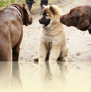 Spaziergang in Puchheim am 13.03.2016